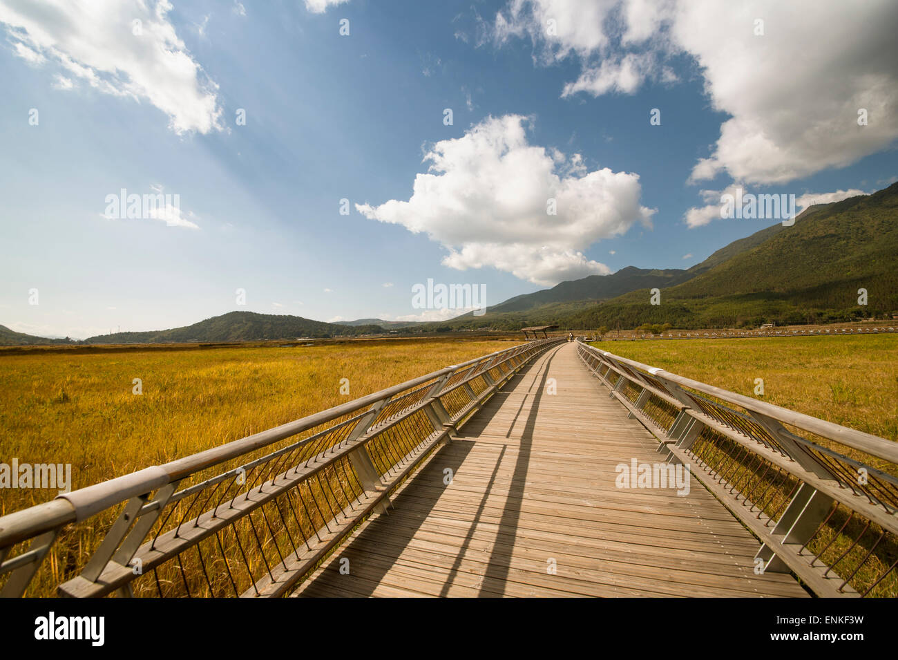 A long wooden plank road in the marsh park, Tengchong of China Stock Photo