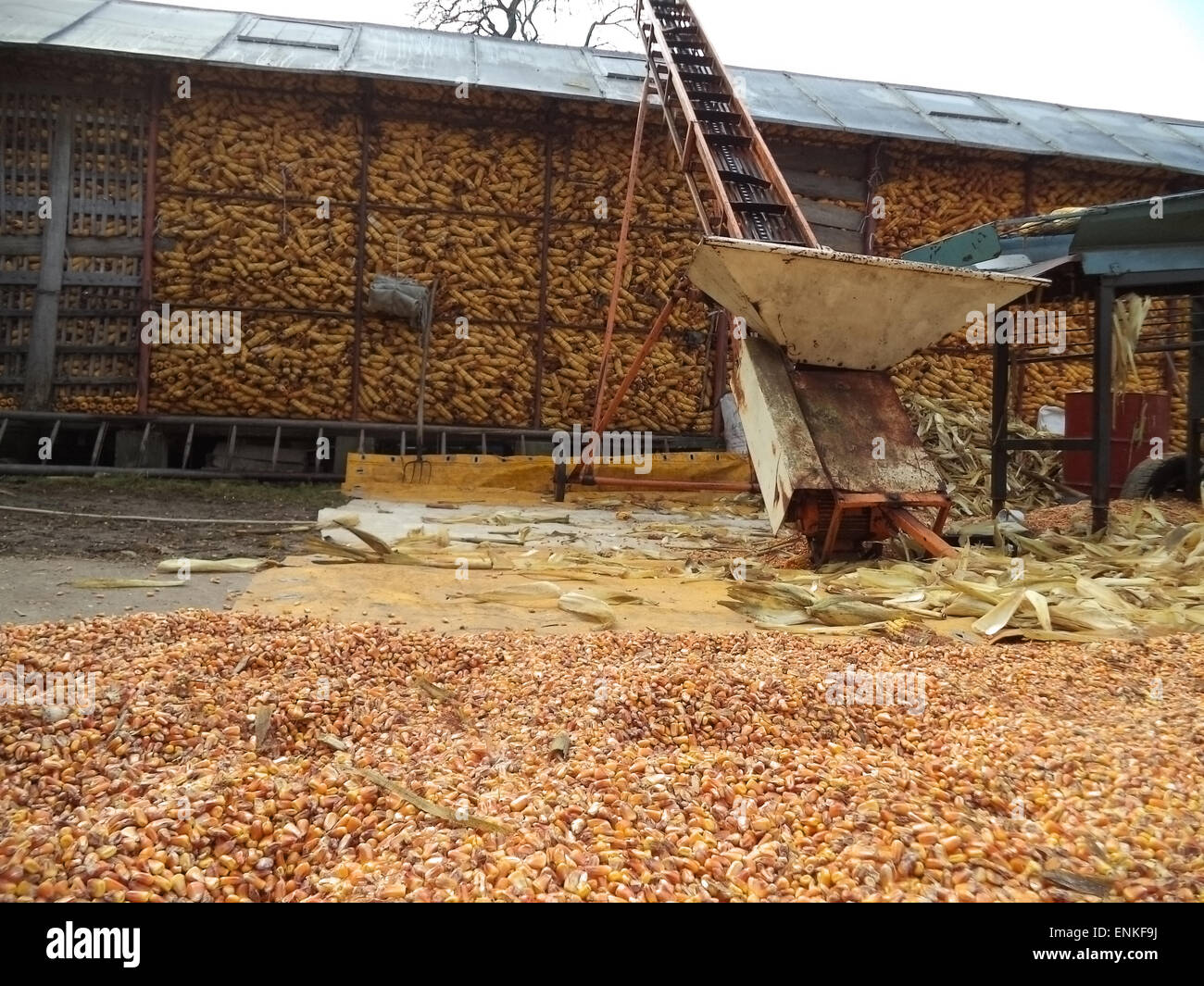 Corn Storage Stock Photos & Corn Storage Stock Images Alamy