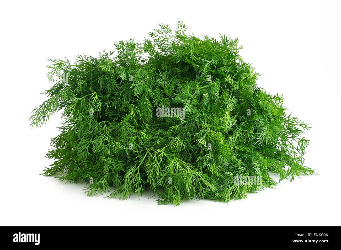 Fresh green dill isolated on white background Stock Photo