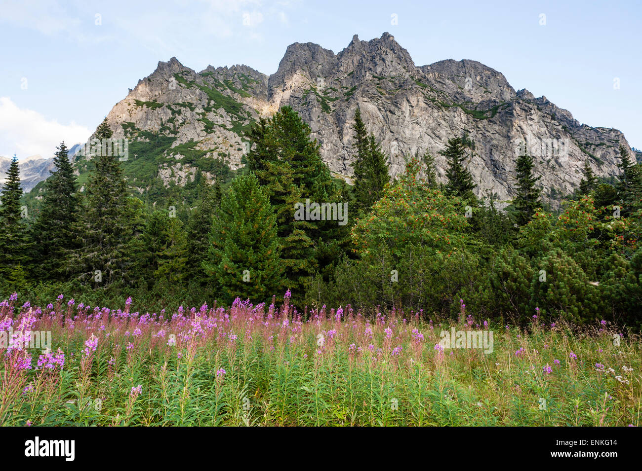 Tatry, Slovakia, mountains in sunny autumn day Stock Photo