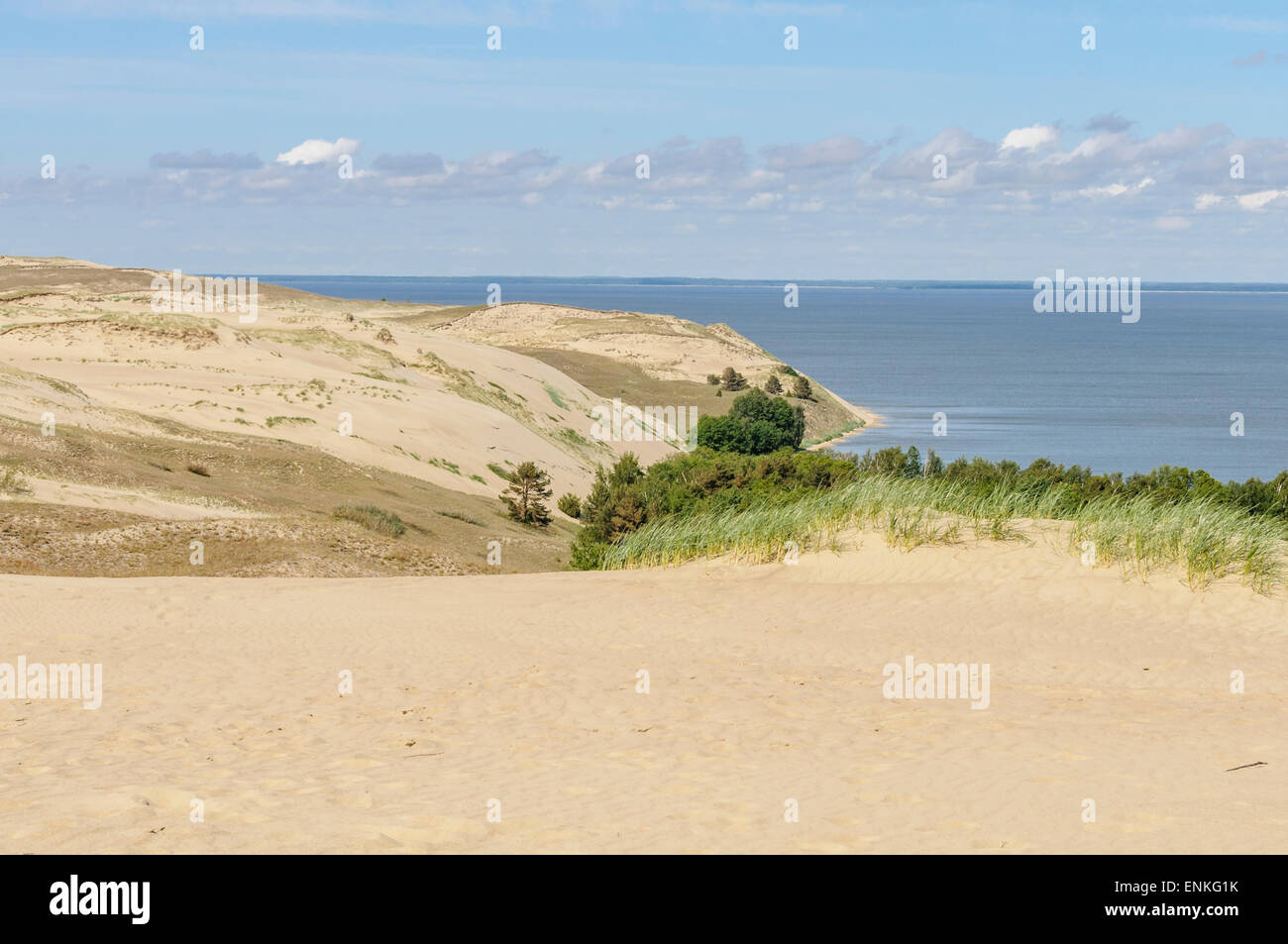 The so-called 'dead dunes' (or 'gray dunes') are one of the landmarks of the Curonian Spit in Lithuania, Europe Stock Photo