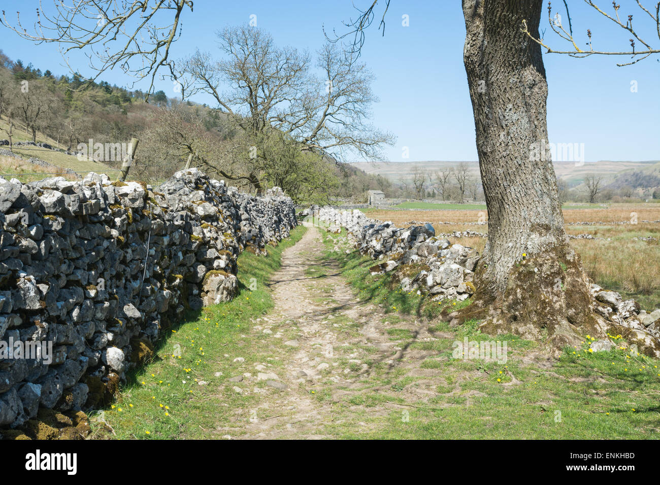 Footpath in the Yorkshire Dales Stock Photo