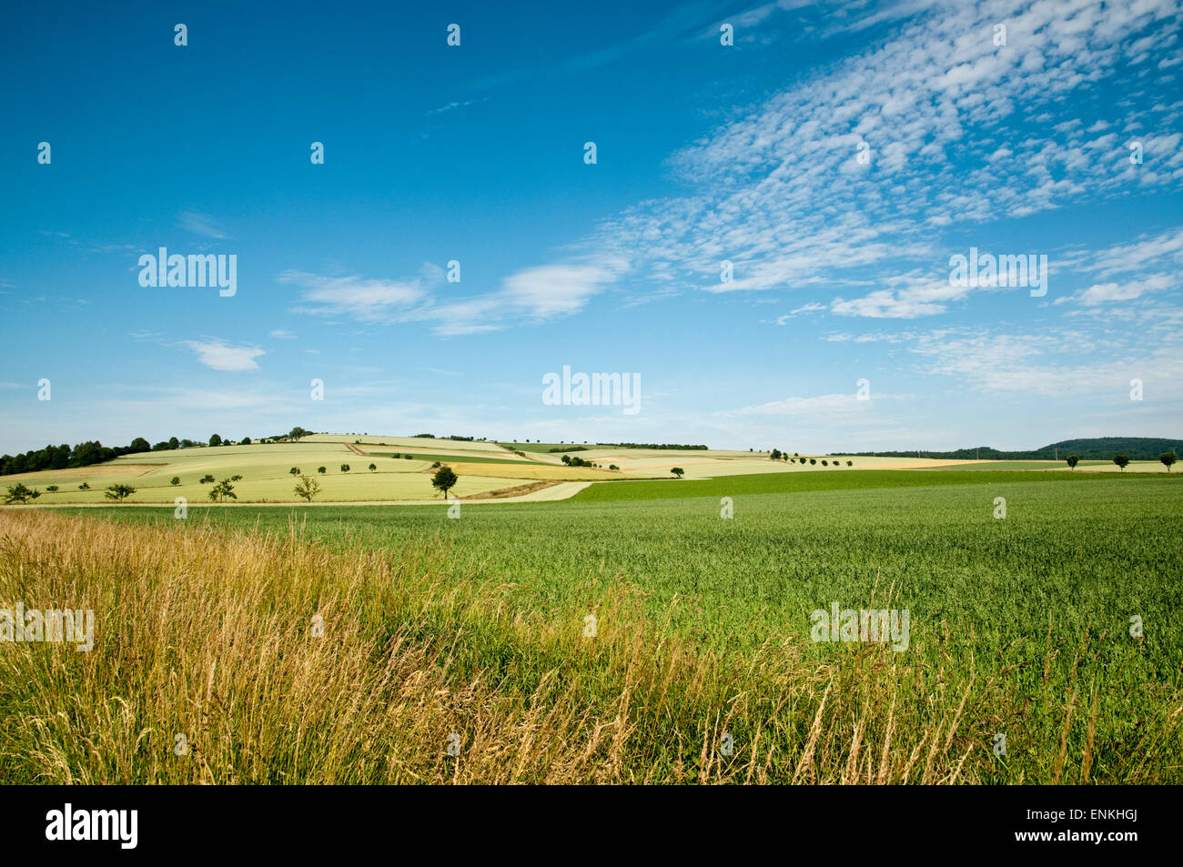 Landscape Weserbergland, Lower Saxony, Germany Stock Photo
