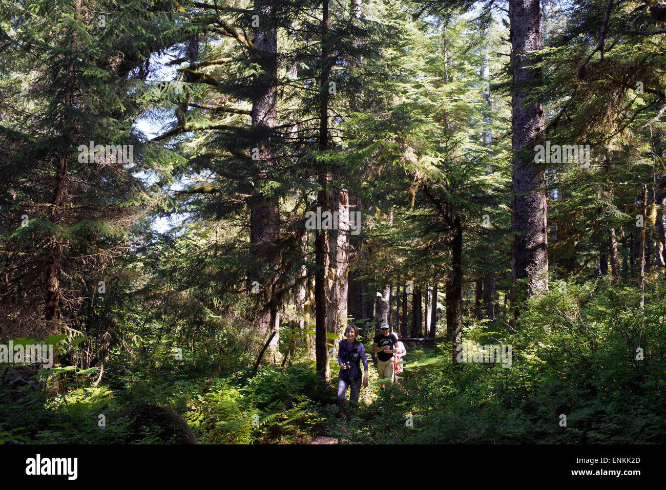 Forest Loop Trail, Bartlett Cove, Glacier Bay National Park, Alaska ...
