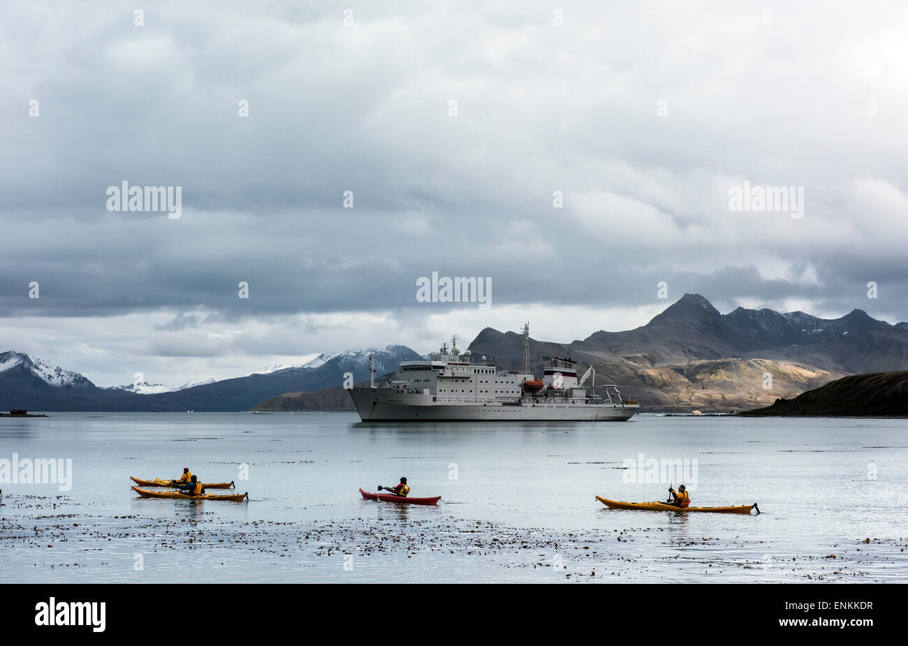 kayaks and expedition cruise at Grytviken South Georgia Stock Photo