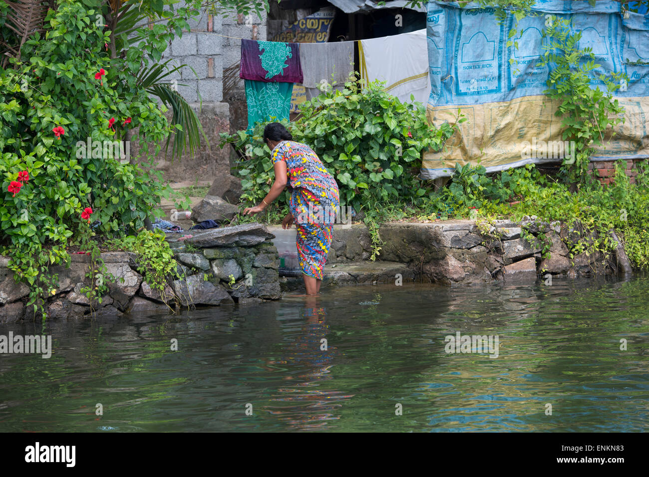India, Kerala, Alleppey. Backwater canals of Kerala in the area of Kumarakom, known as the 'Venice of the East'. Washing dishes Stock Photo