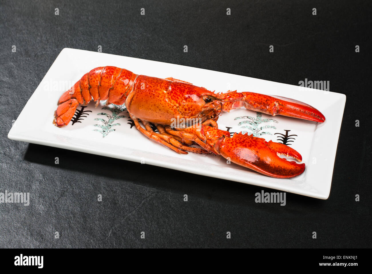 A cooked lobster Stock Photo