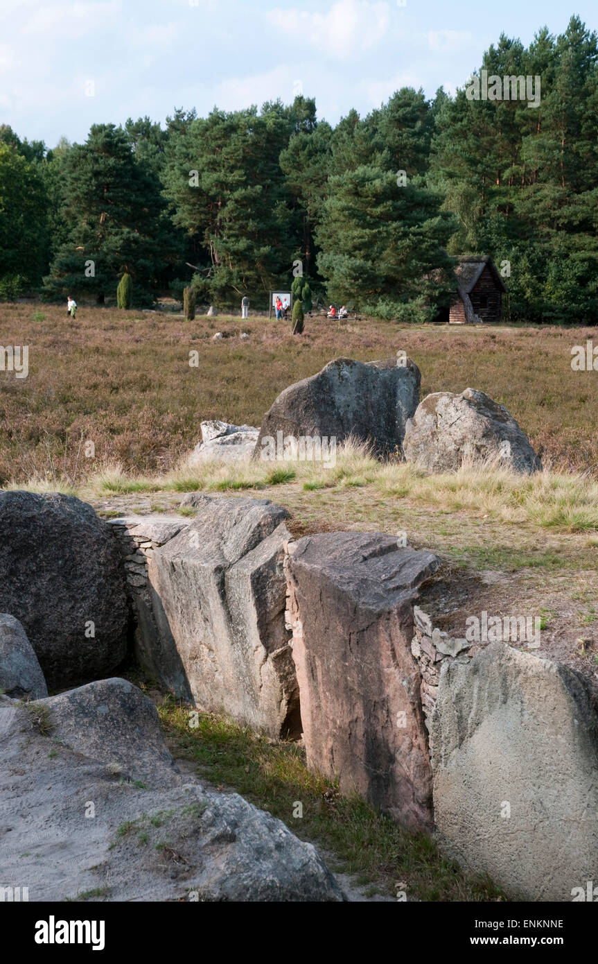 megalithic tomb, Oldendorfer Totenstatt, Lueneburger Heide, Lower Saxony, Germany Stock Photo