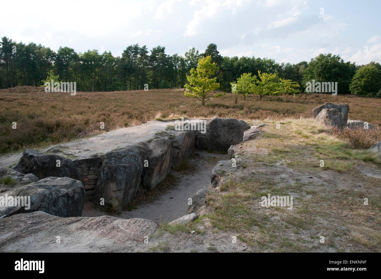 megalithic tomb, Oldendorfer Totenstatt, Lueneburger Heide, Lower Saxony, Germany Stock Photo