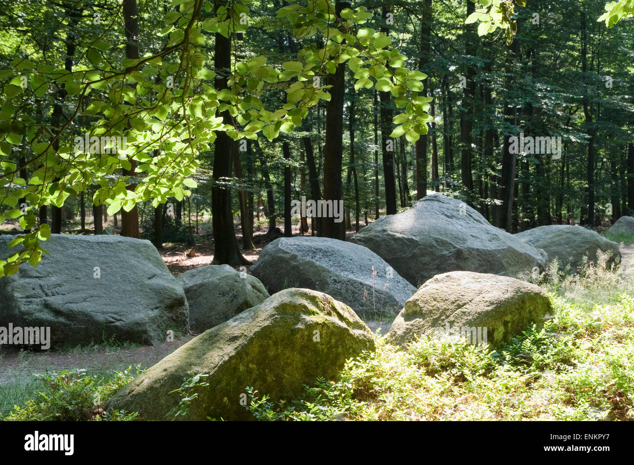 prehistorical tomb, dolmen, Oldenburger Land, Lower Saxony, Germany Stock Photo