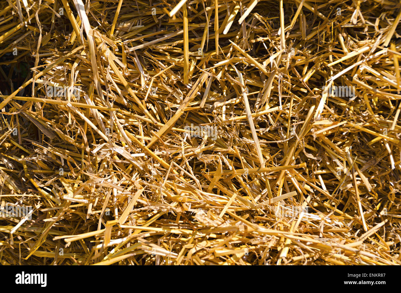 Grass Straw Heap High Resolution Stock Photography and Images - Alamy