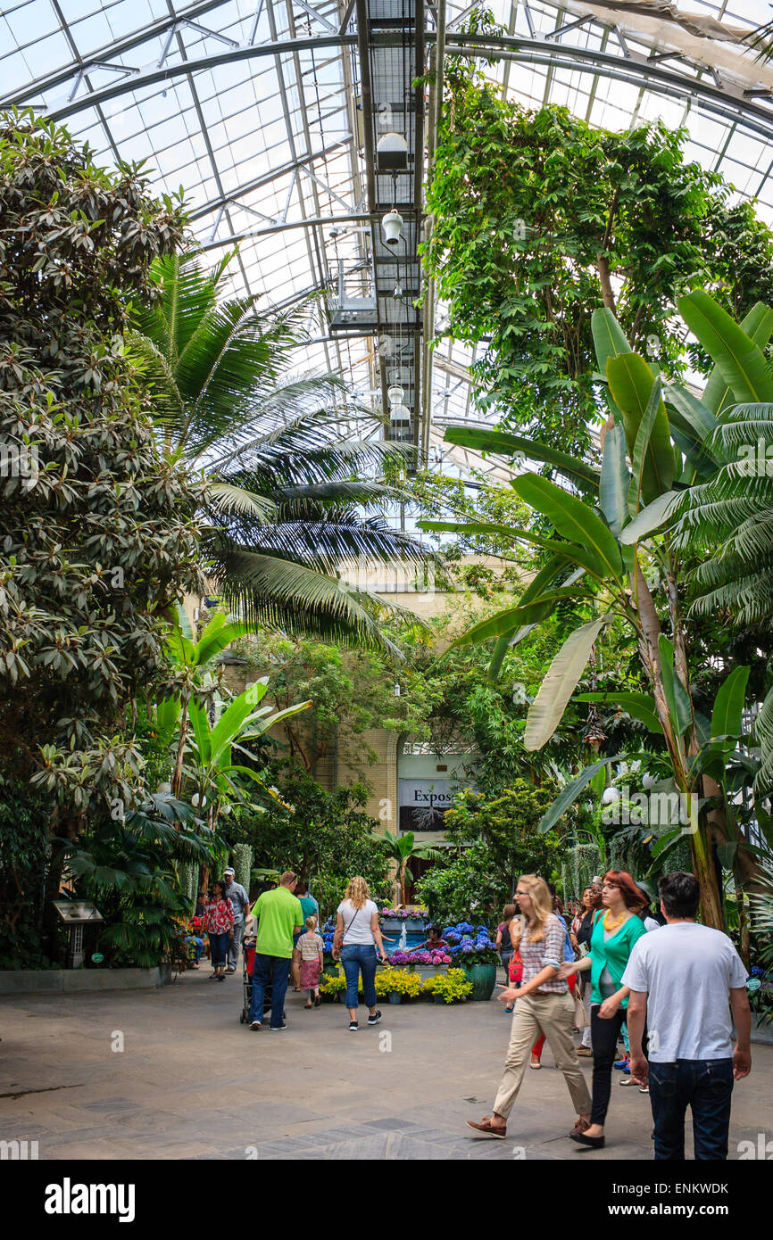 Tourists visiting botanic garden hall filled with tall tropical plants