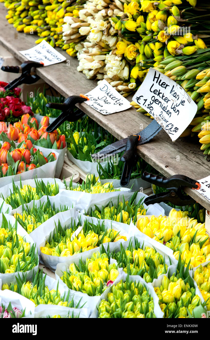 Haarlem netherlands flower hires stock photography and images Alamy