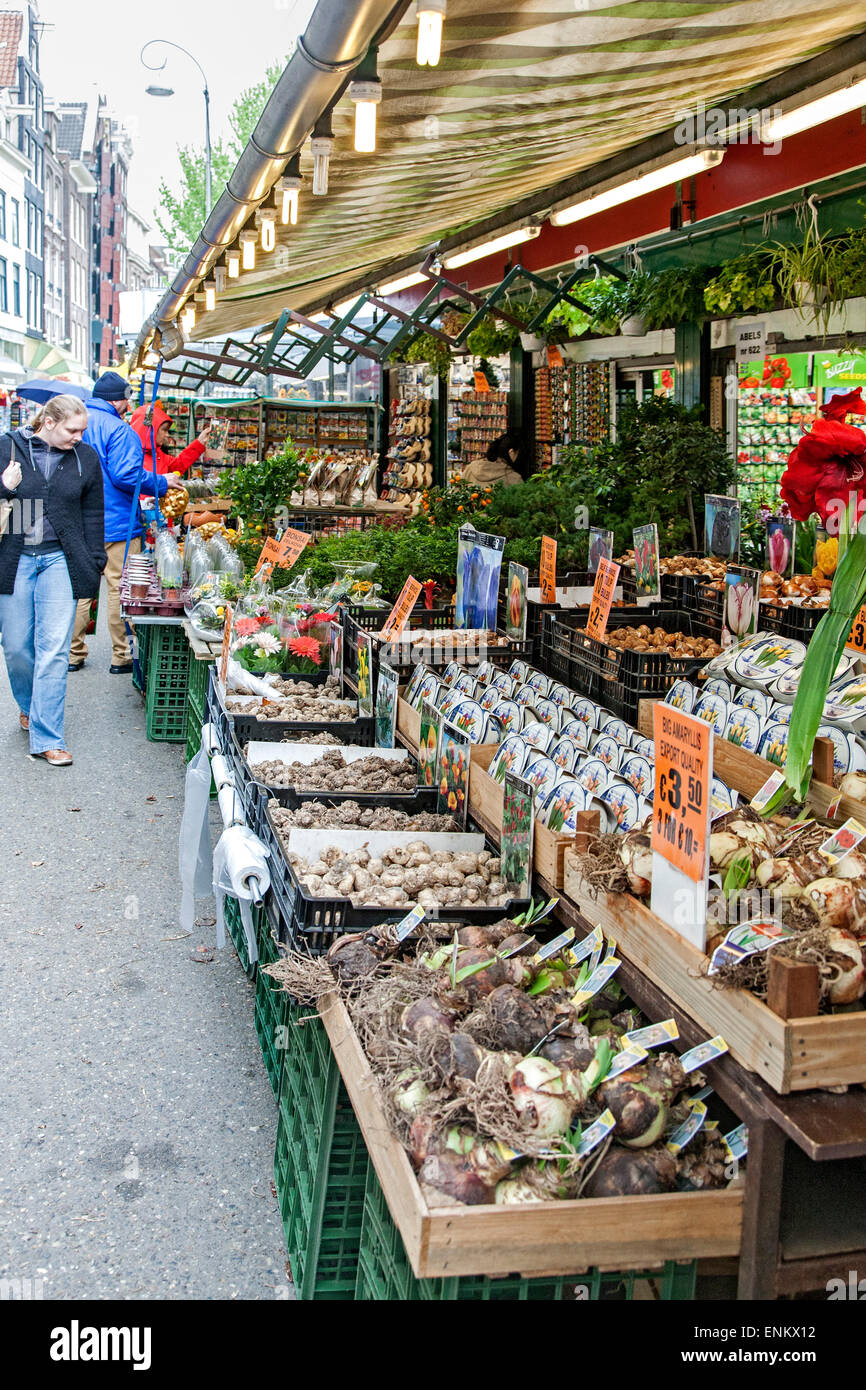 Bloemenmarkt flower market amsterdam netherlands hires stock
