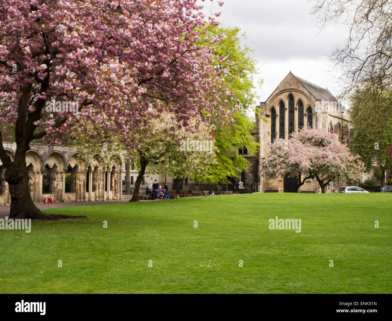 Spring Blossom in Deans Park York Yorkshire England Stock Photo