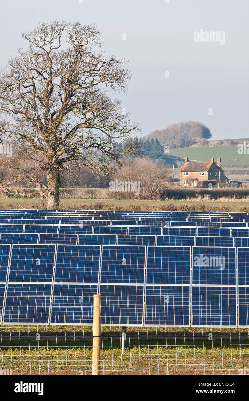 Solar panels in a farm field,Somerset,England Stock Photo Alamy