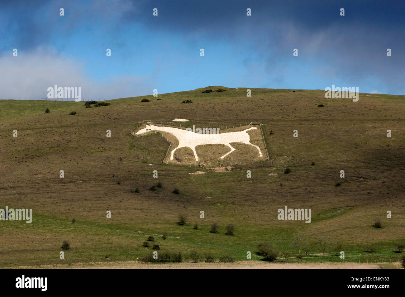The new Pewsey White Horse on a hill in Wiltshire,UK,which replaced an earlier version.a UK Stock Photo