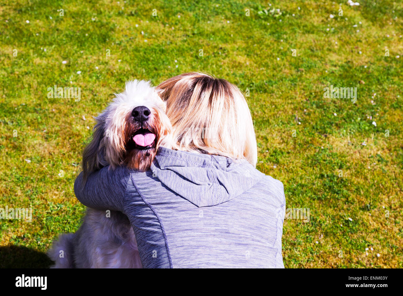 hugging dog affection for pet canine love loving cuddle cuddling unconditional loves dogs pets woman girl lady Stock Photo