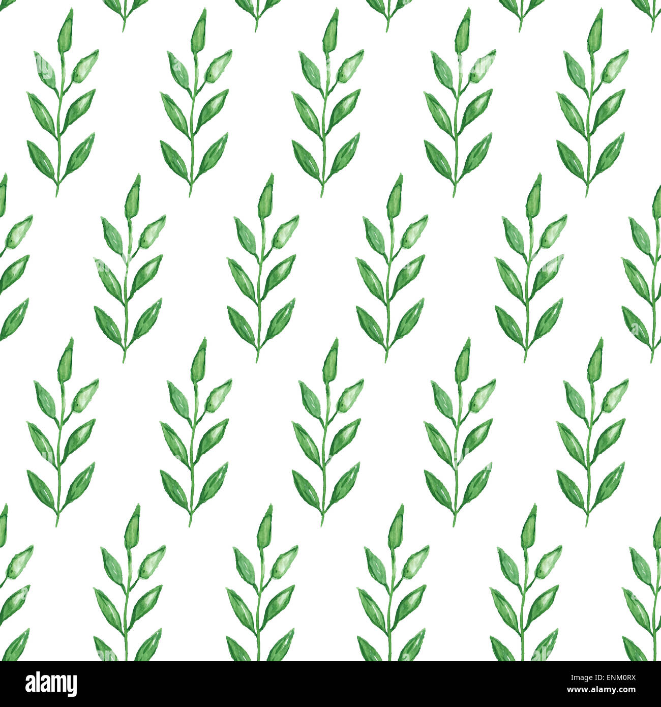 Seamless hand painted green herb pattern Stock Photo - Alamy