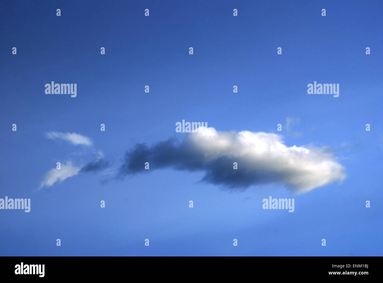 fish shaped cloud on clear sky Stock Photo Alamy