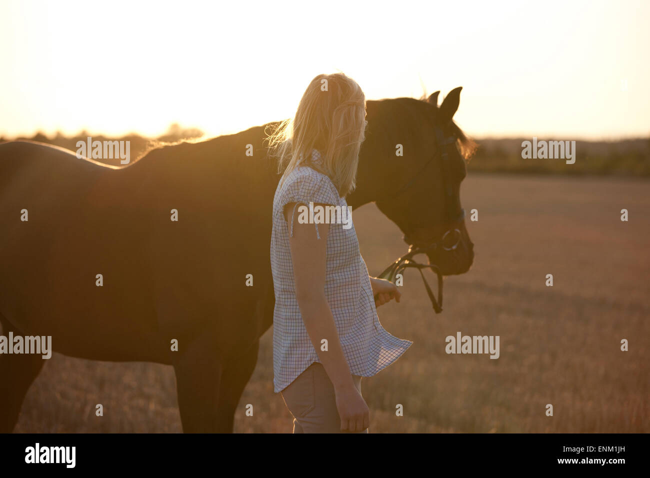A young woman leading an Arabian horse Stock Photo