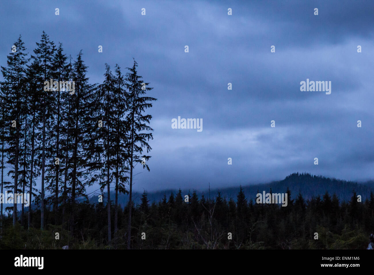 Cut leave hi-res stock photography and images - Alamy