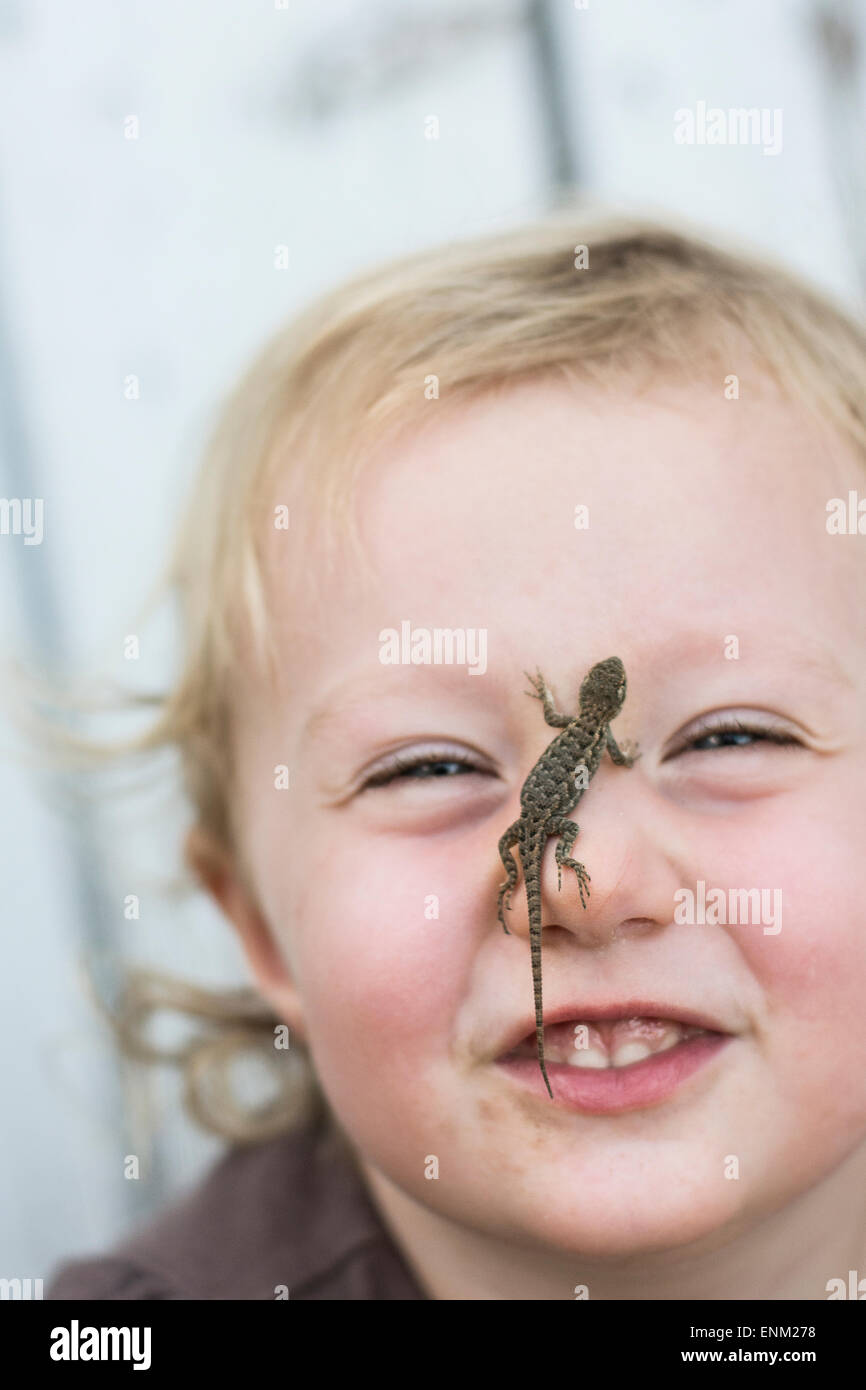 Toddler girl smiles at camera with Sagebrush lizard on nose in Chico, California. Stock Photo