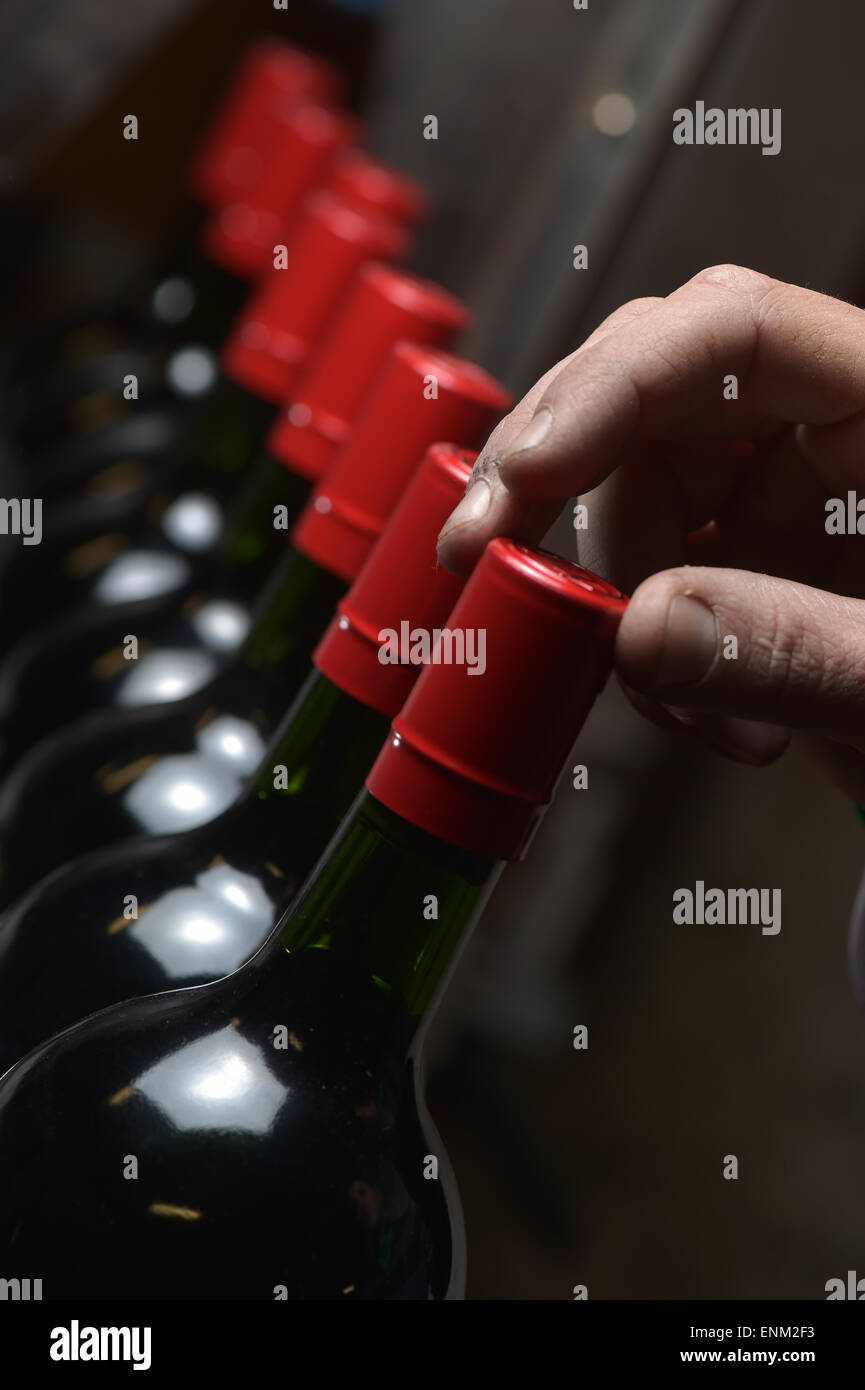 Wine bottles preparation Stock Photo Alamy