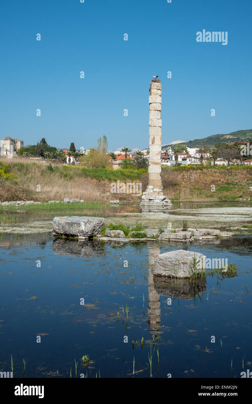 The Temple of Artemis at Ephesus Turkey.  One of the Seven Wonders of the Ancient World. Stock Photo