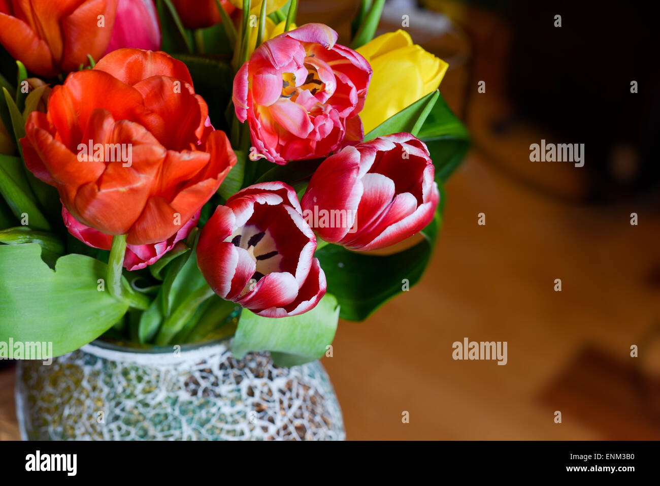 Colorful tulips in a vase Stock Photo Alamy