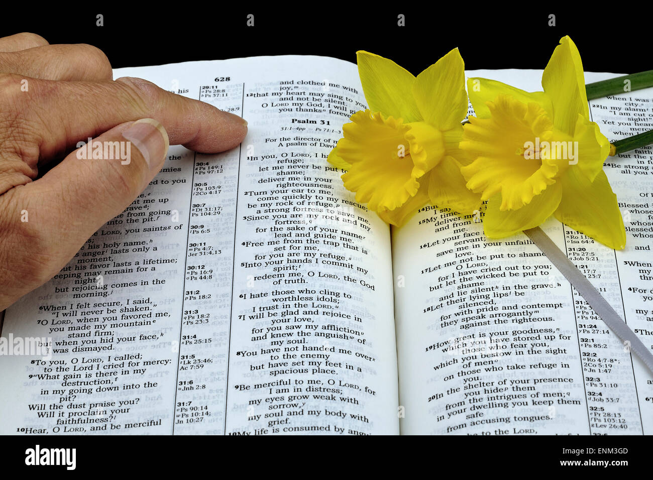 Man pointing to Psalms scripture in open Bible with daffodil flowers Stock Photo