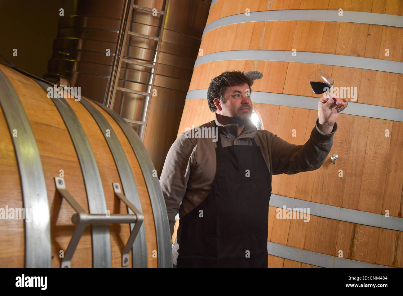 Winemaker tasting wine amongst oak casks Stock Photo Alamy
