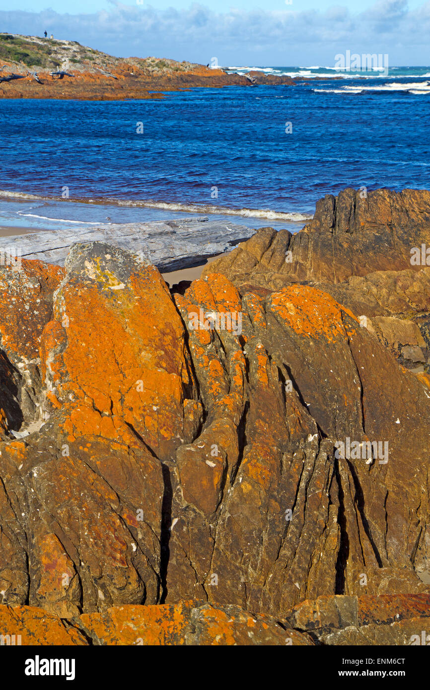 The rugged coast at Gardiner Point in Arthur River, billed as the Edge of the World Stock Photo