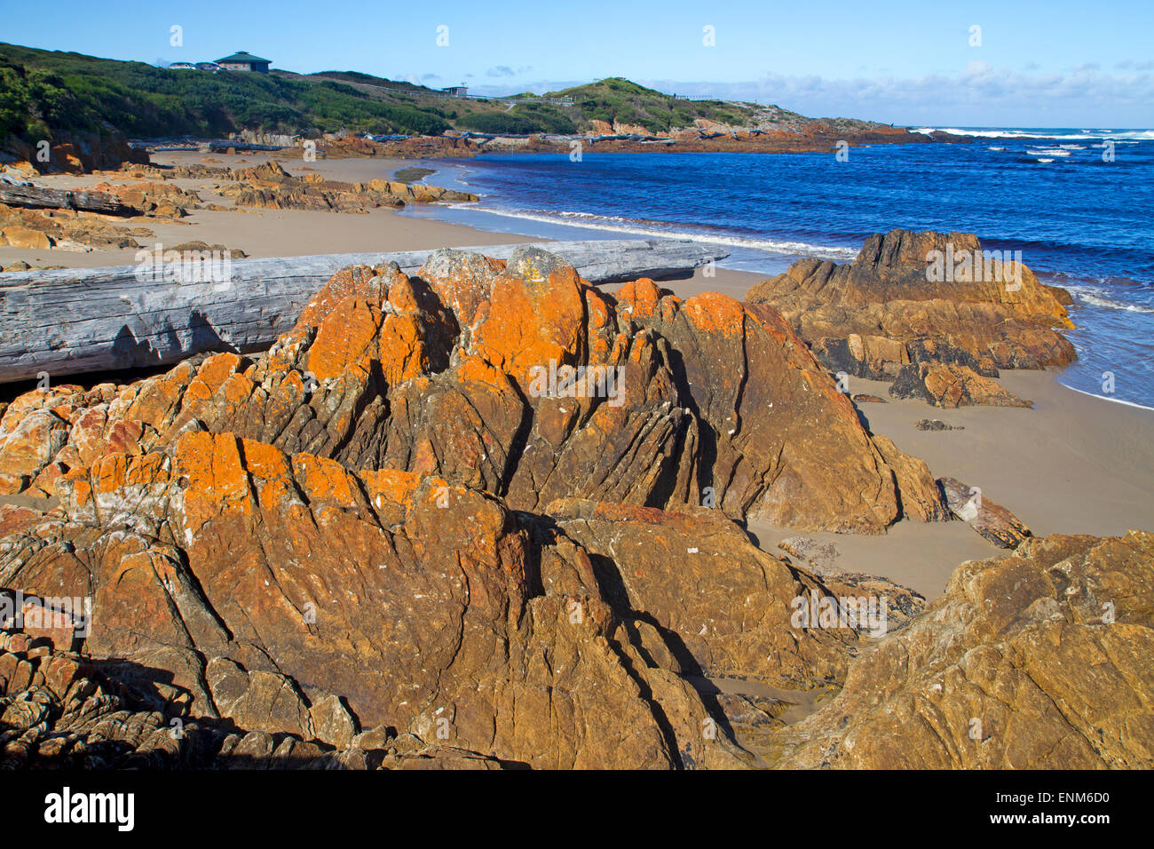 The rugged coast at Gardiner Point in Arthur River, billed as the Edge
