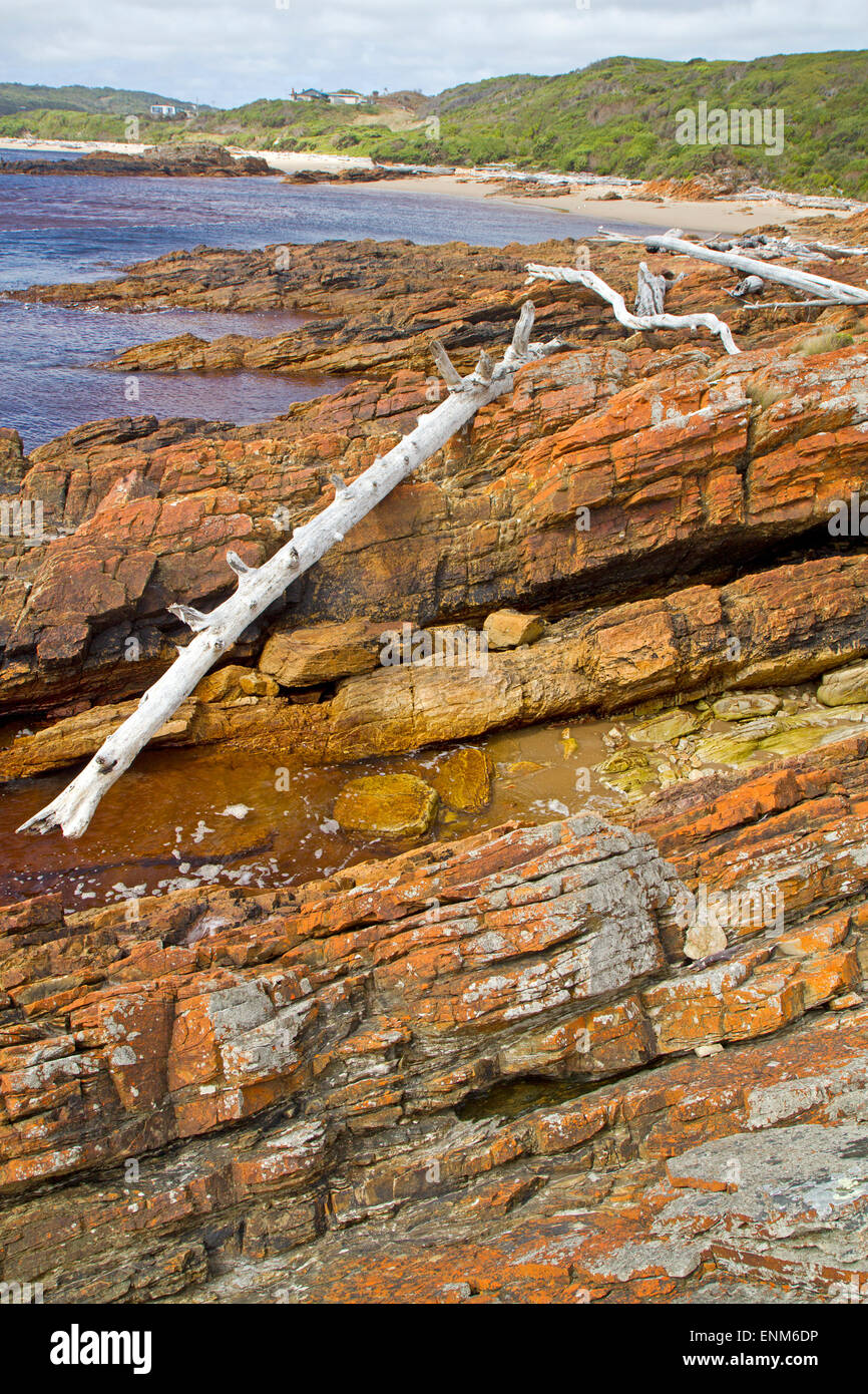 The rugged coast on Gardiner Point at Arthur River, billed as the Edge