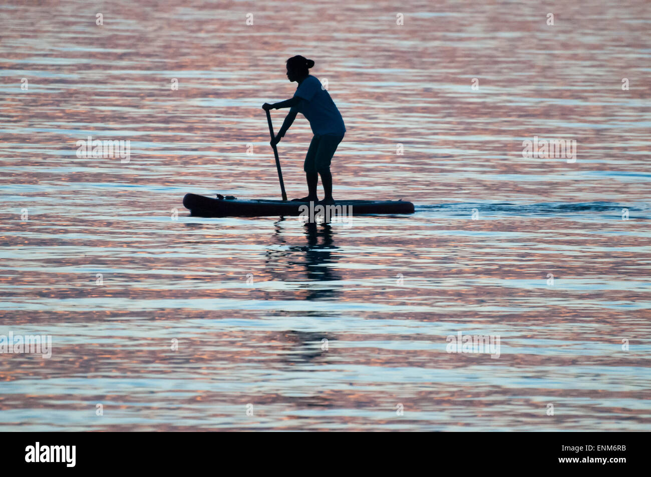 Paddler on Port Phillip Bay at sunset, Melbourne Stock Photo