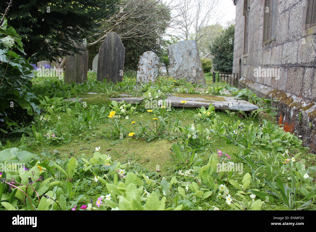 madron churchyard with graves, headstones and memorials Stock Photo Alamy