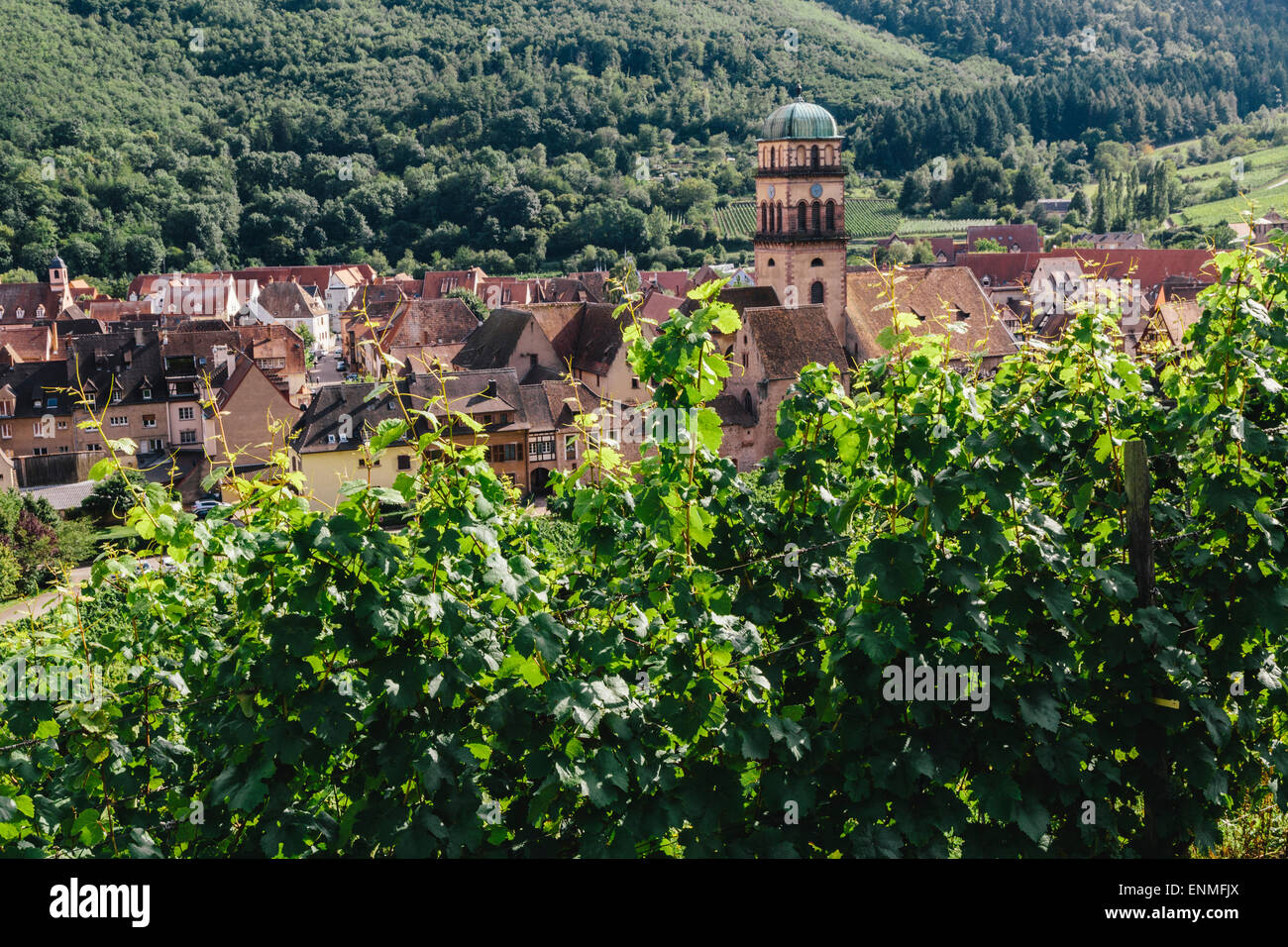 Vineyards above Kaysersberg, Alsace, France, looking over town Stock Photo