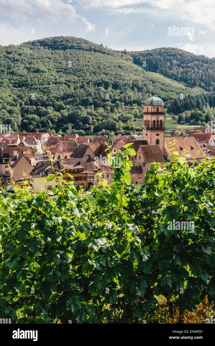 Vineyards above Kaysersberg, Alsace, France, looking over town Stock Photo