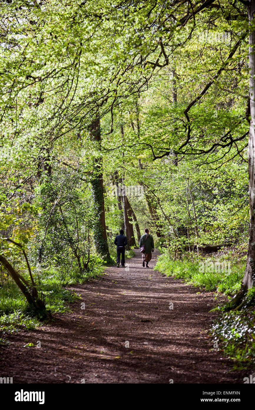 Dunsford nature reserve hires stock photography and images Alamy