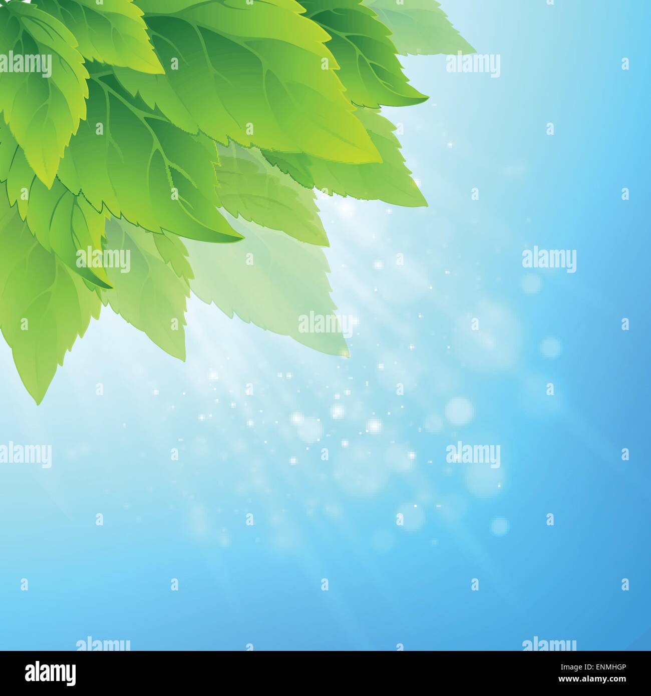 Spring fresh green leaves. Vector illustration EPS10 Stock Vector Image ...