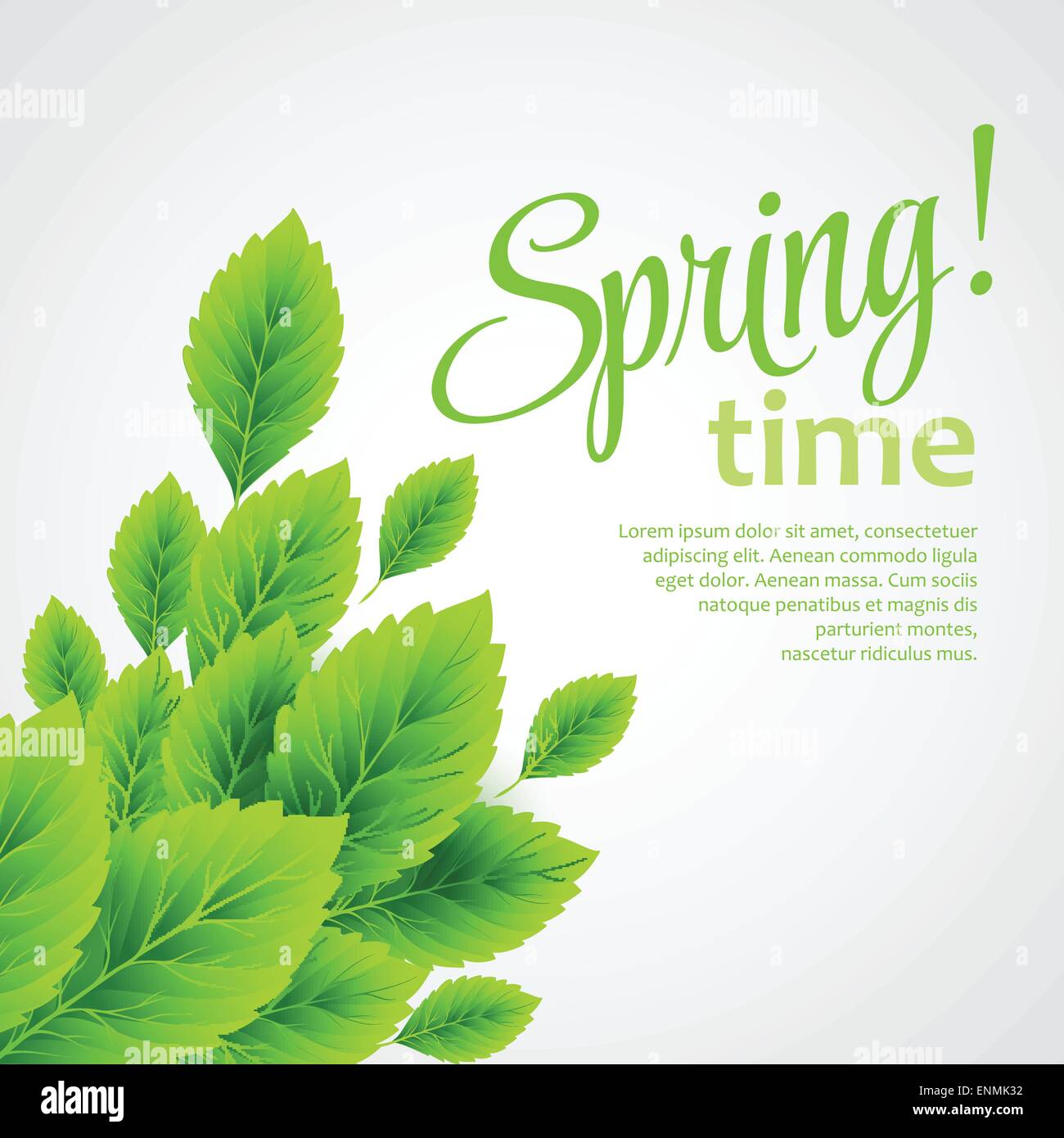 Spring fresh green leaves. Vector illustration EPS10 Stock Vector Image ...