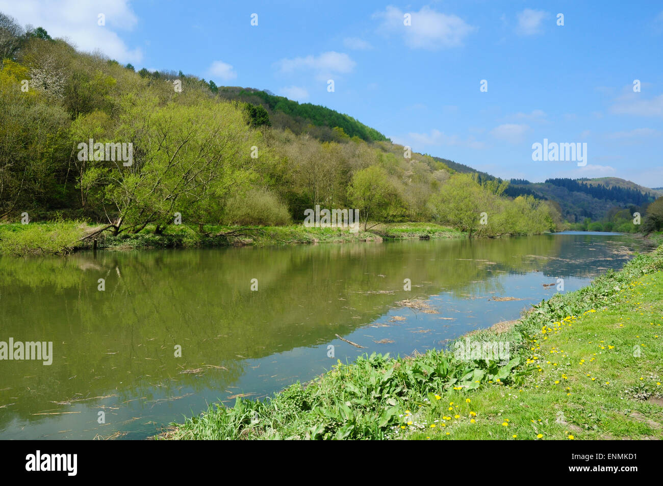 River Wye, viewed from the village of Brockweir, Gloucestershire, England, towards the opposite