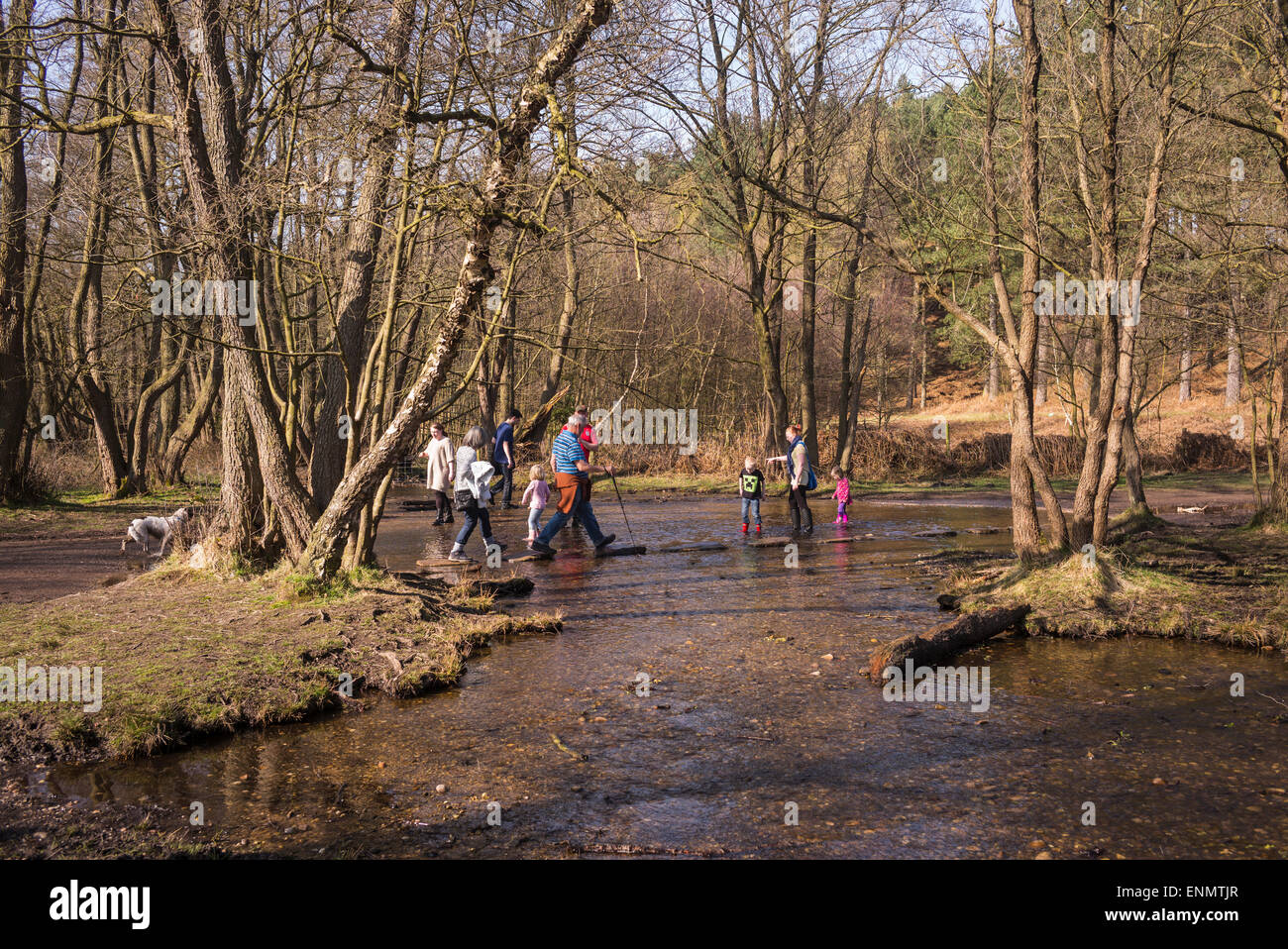 Sringtime weekend walkers are drawn to the Sherbrook valley on Cannock Chase to cross the stream using stepping stones Stock Photo