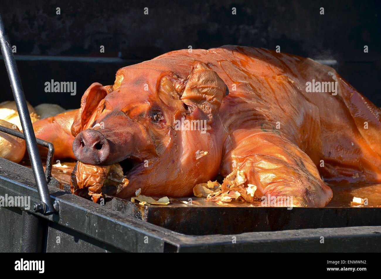 Roasting pig with apple in its mouth in roaster. Stock Photo