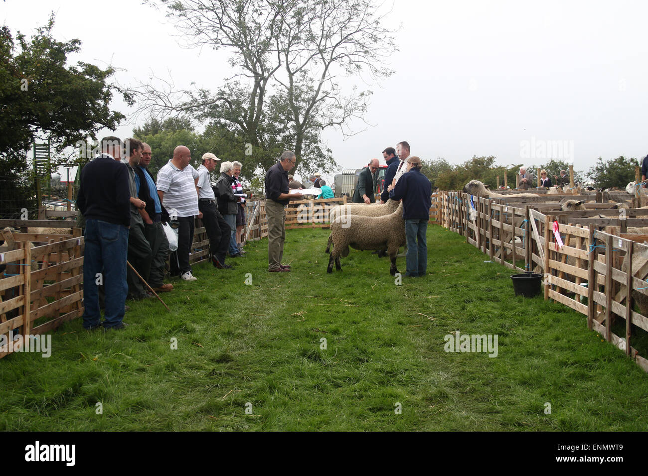 Sheep show at Egton Agricultural Show in North Yorkshire Stock Photo