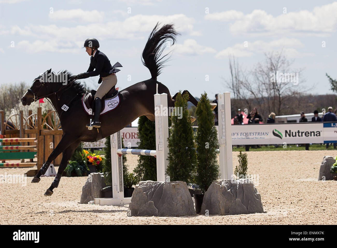 Princeton Equestrian Show Jumping a rider takes her horse over a jump during a competitive
