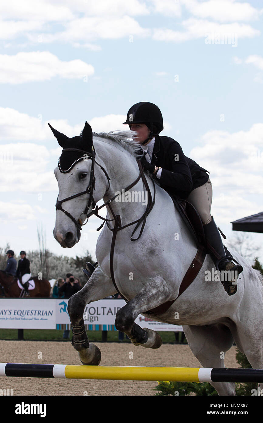 Princeton Equestrian Show Jumping a rider takes her horse over a jump