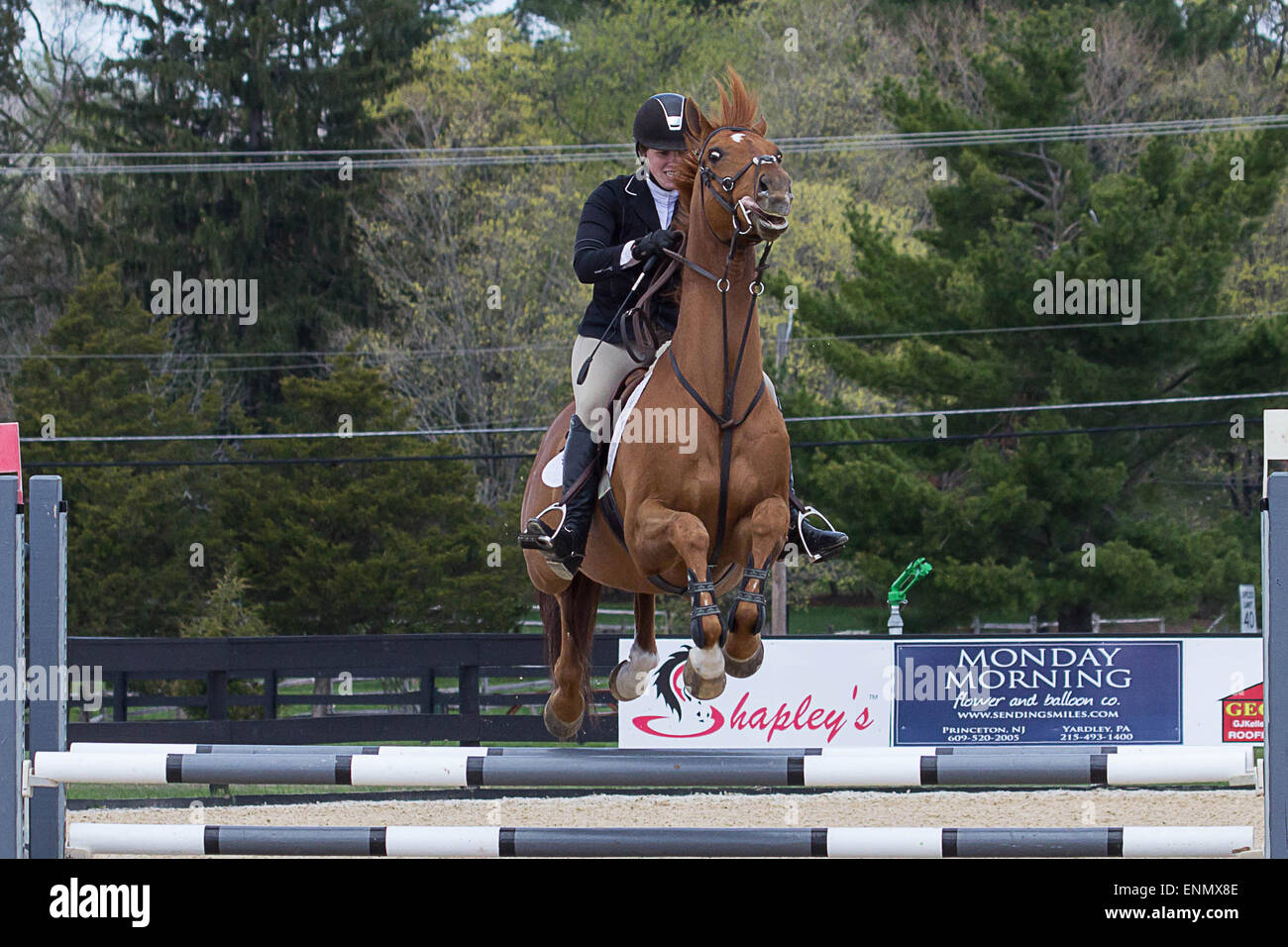 Princeton Equestrian Show Jumping a rider takes her horse over a jump