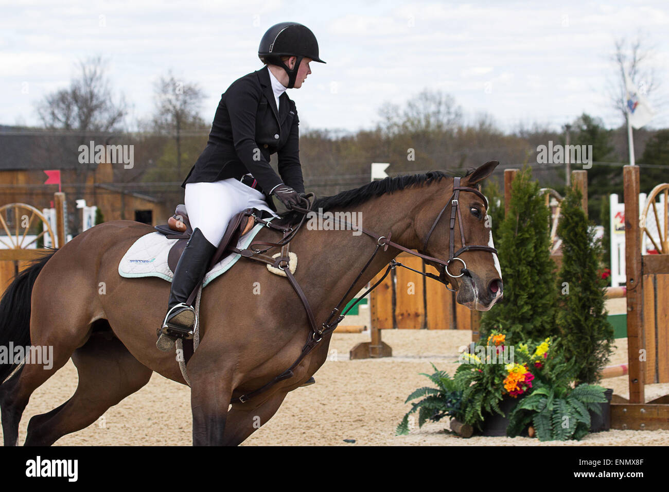 Princeton Equestrian Show Jumping a rider prepares her horse for a run